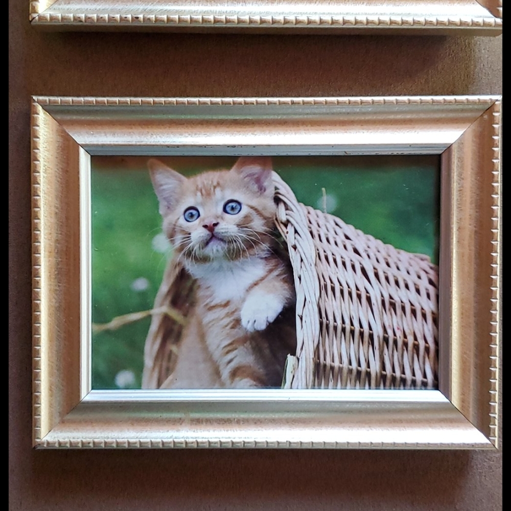 3.5x5 Photo Frame - Picture 6 of 9